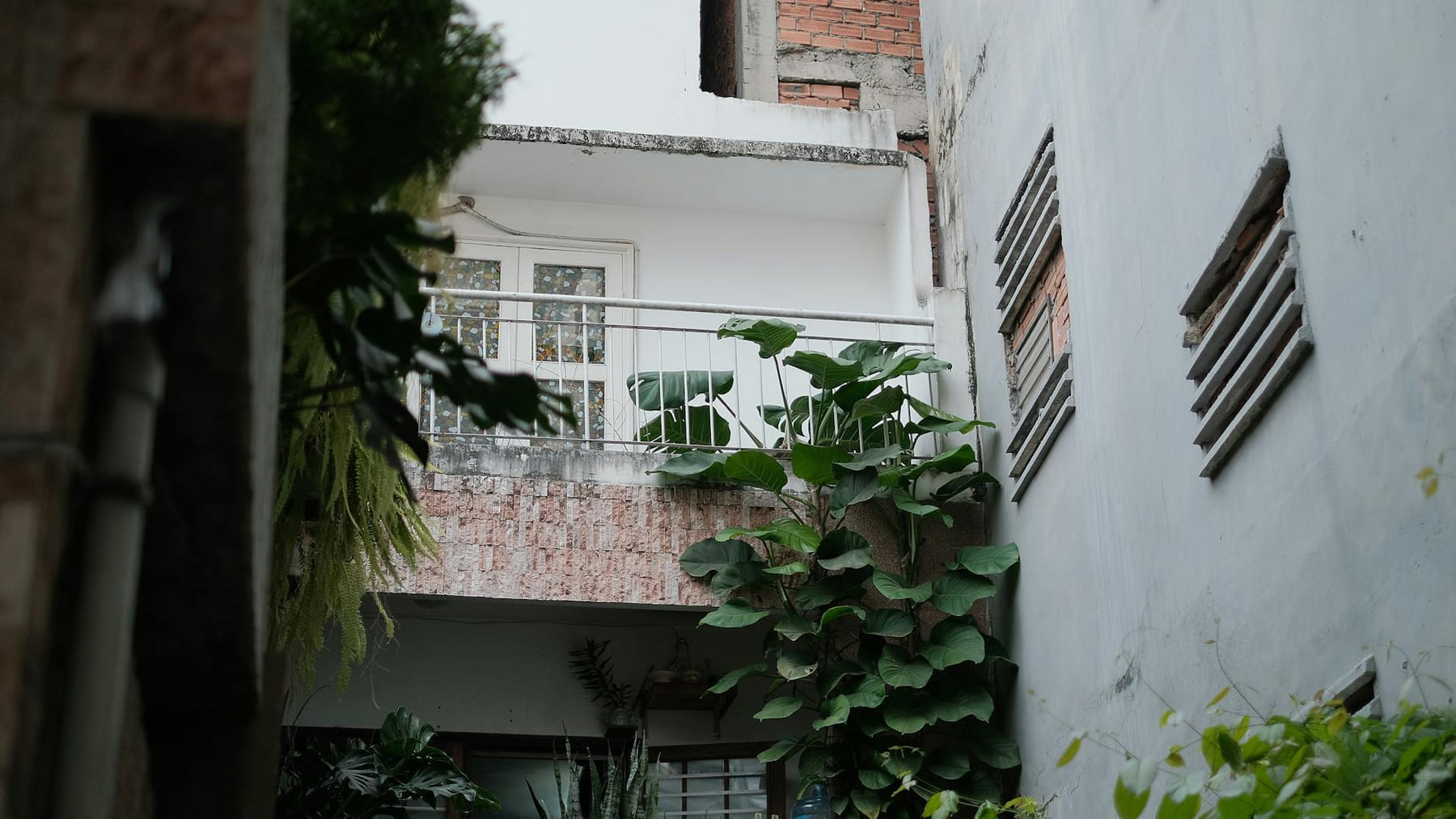 An outdoor balcony adorned with vibrant green plants against urban architecture. on Urban Sprout Corner