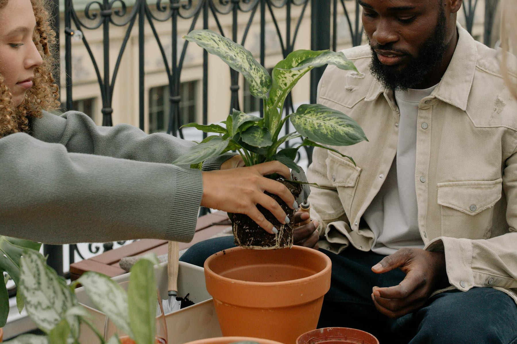 Two friends enjoy urban gardening on a balcony, planting in terracotta pots. on Urban Sprout Corner