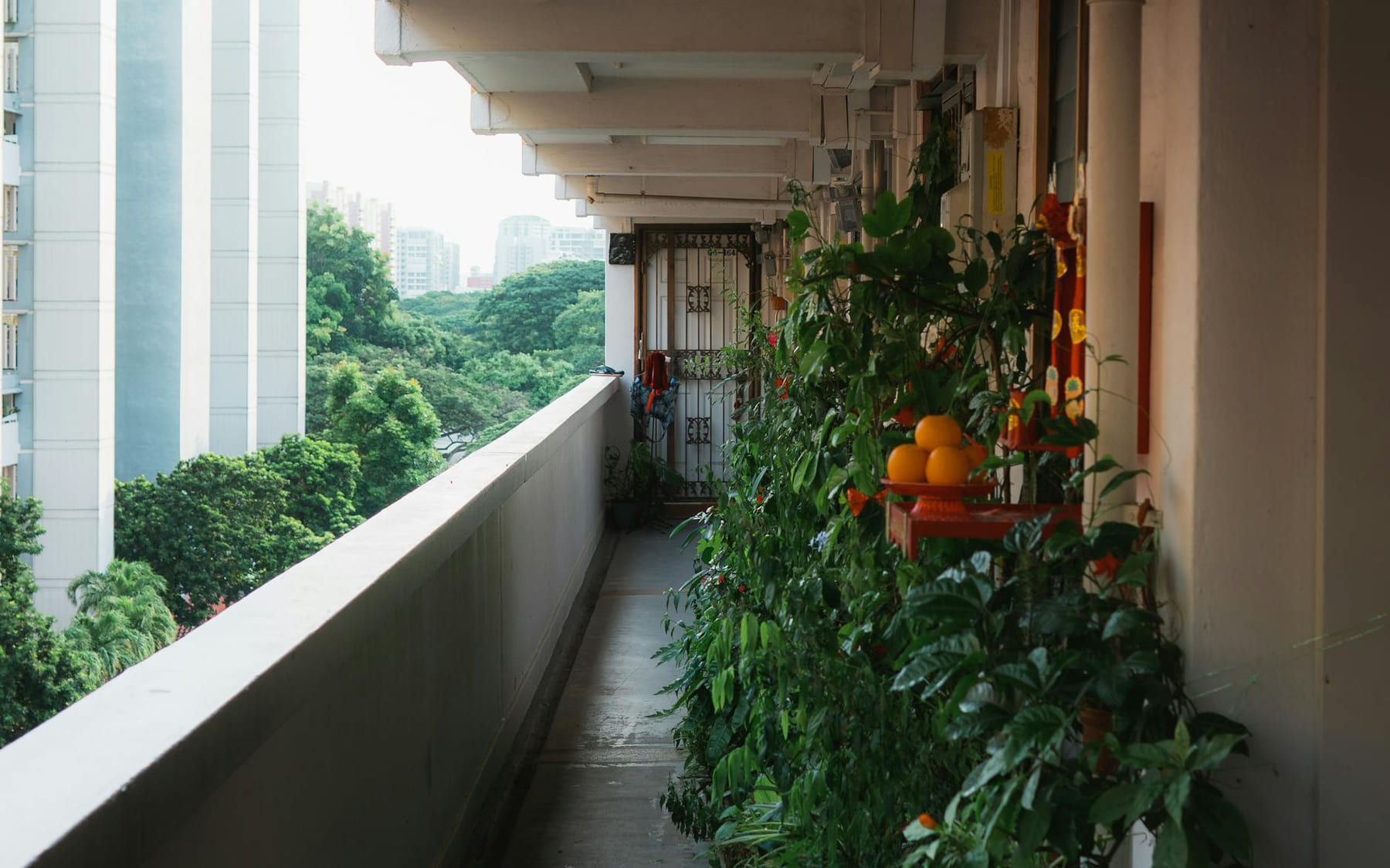 A lush balcony garden in an urban setting, featuring vibrant green plants and distant skyscrapers. on Urban Sprout Corner