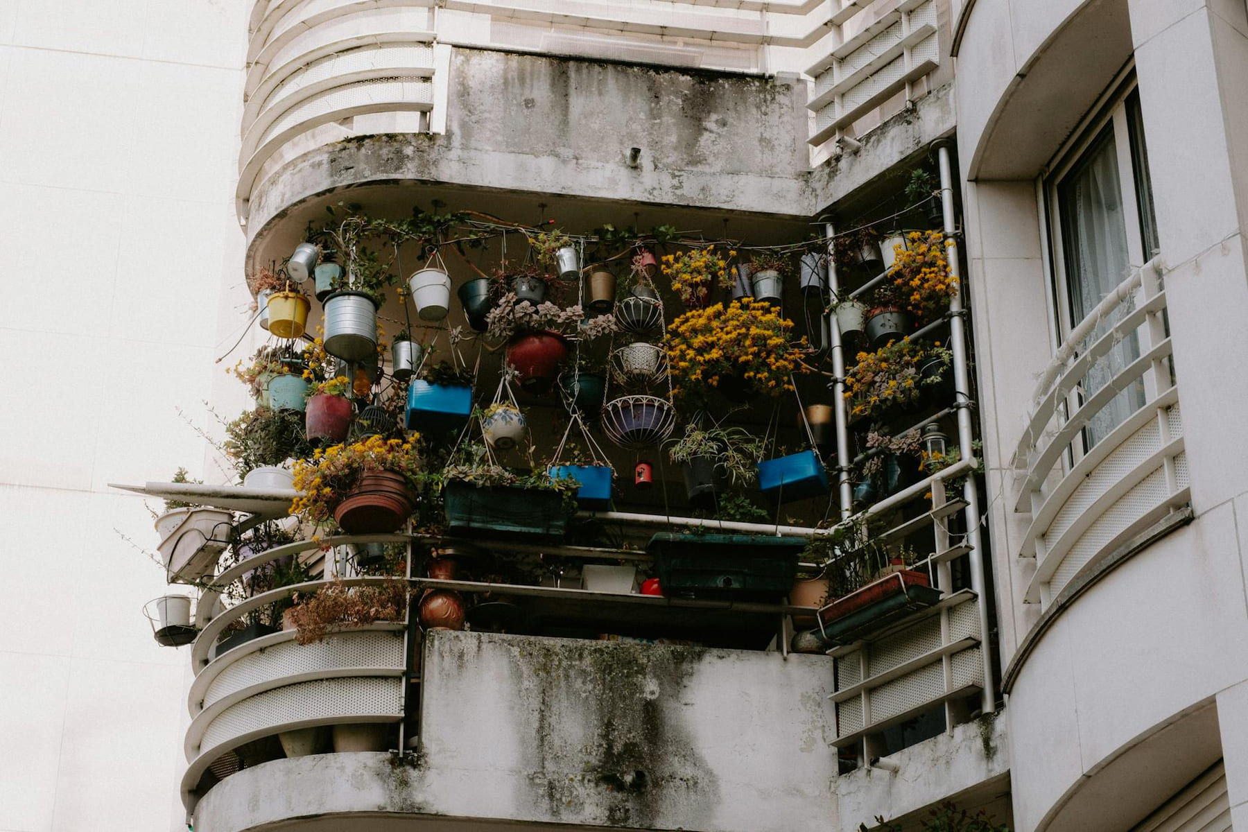 Low angle view of a balcony brimming with vibrant potted plants on a building exterior. on Urban Sprout Corner