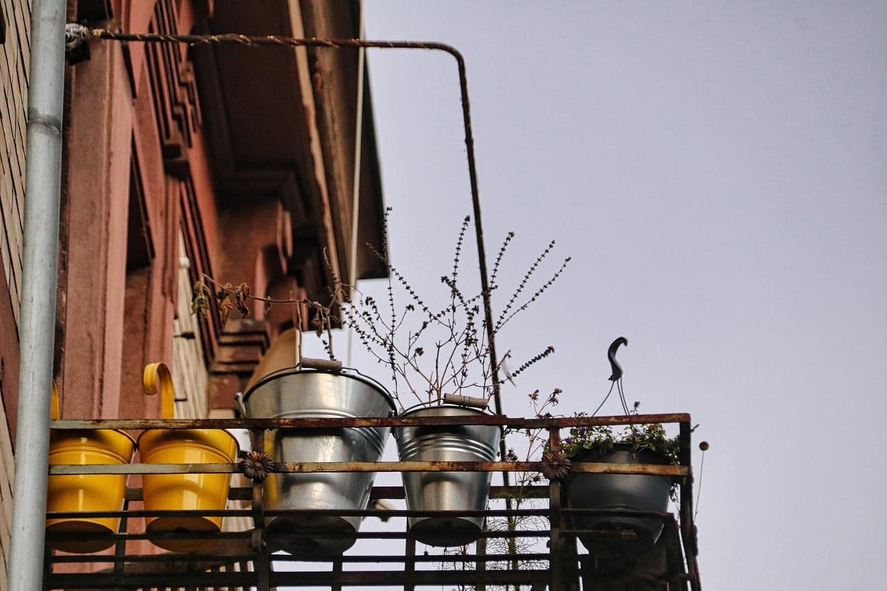 balcony, plant, nature, buckets, garden, pots on Urban Sprout Corner