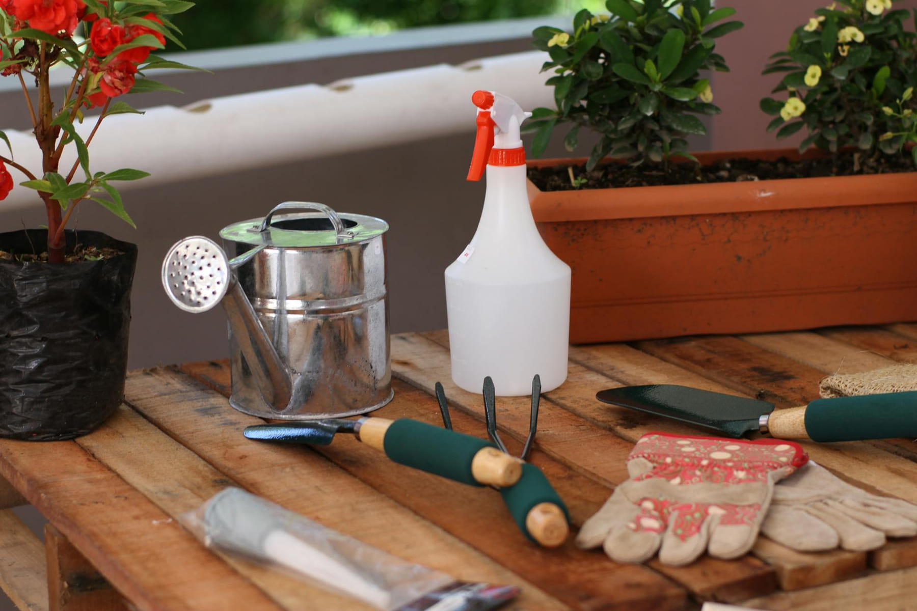 A collection of gardening tools and plants on a wooden table, ideal for gardening enthusiasts. on Urban Sprout Corner