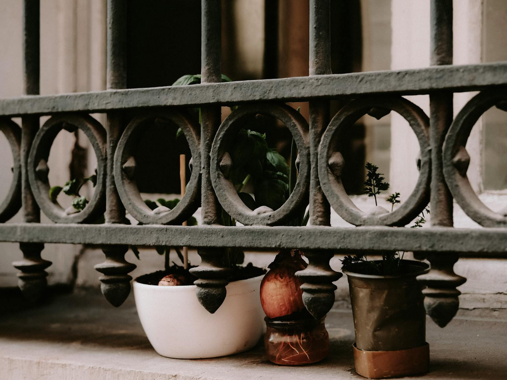 Stylish close-up of potted plants on a rustic balcony, framed by decorative railing. on Urban Sprout Corner
