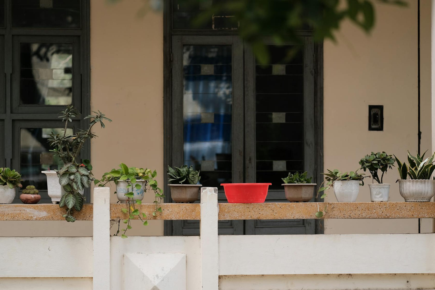 A peaceful balcony featuring a variety of potted plants and a red container, perfect for gardening enthusiasts. on Urban Sprout Corner