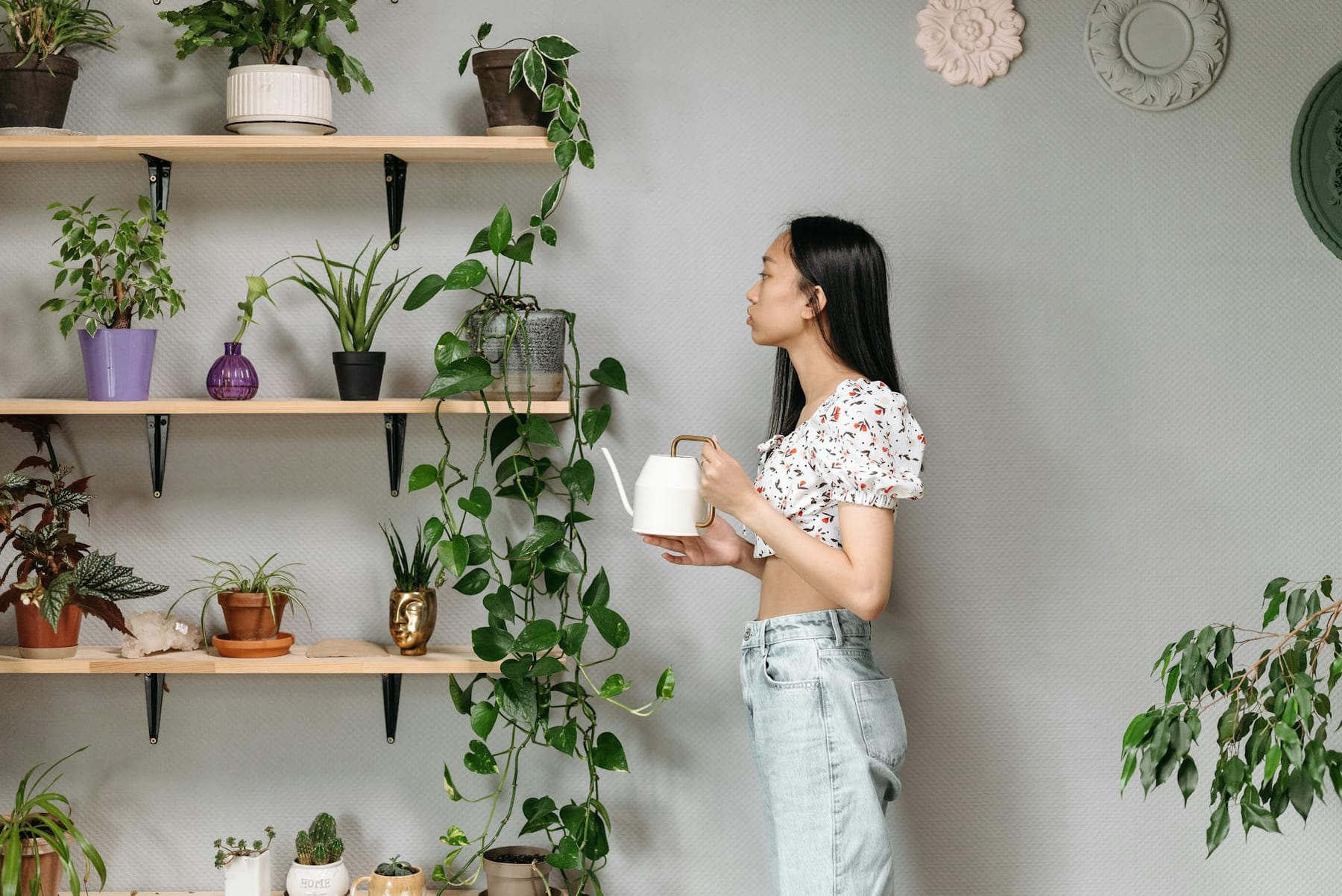 A woman in a floral crop top waters potted plants on indoor shelves. on Urban Sprout Corner