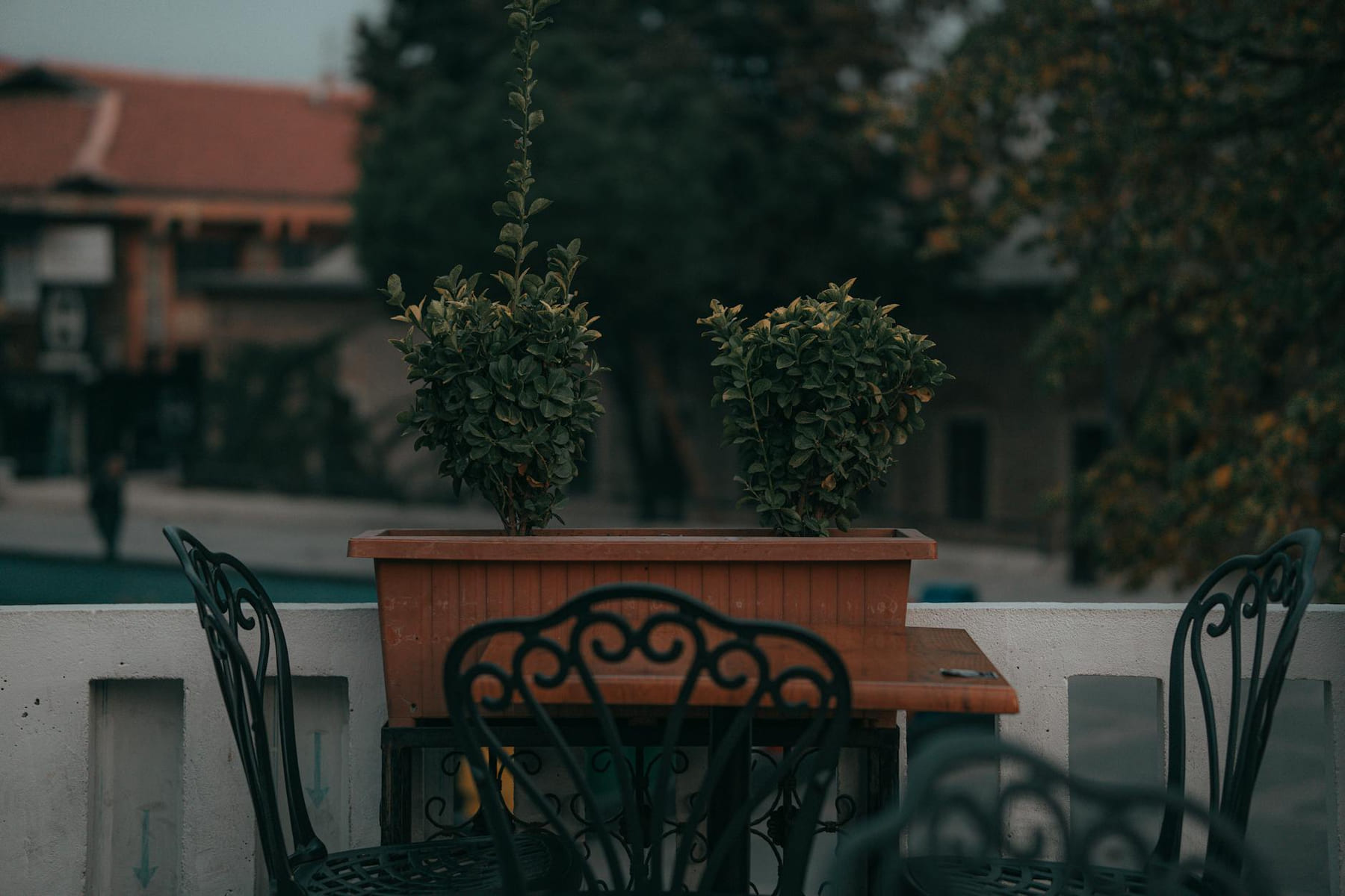 Elegant outdoor patio scene featuring ornate chairs and potted plants. on Urban Sprout Corner