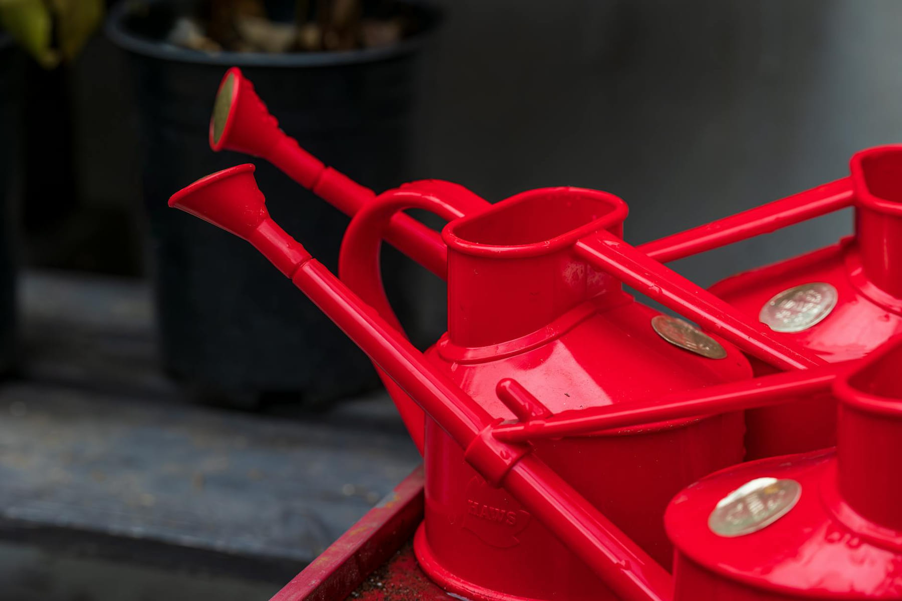 Close-up of several red watering cans in a garden shed, perfect for gardening tasks. on Urban Sprout Corner